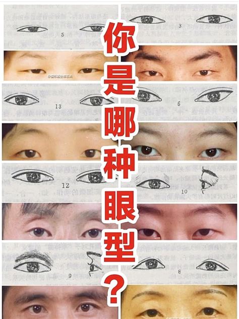 鼠眼面相|面相好不好？一半看眼睛！最全眼型圖解